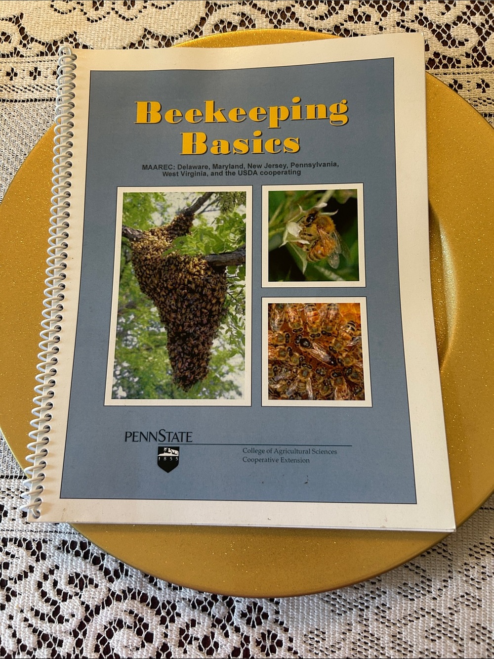 Beekeeping Basics Guide - Penn State College of Agricultural Sevices